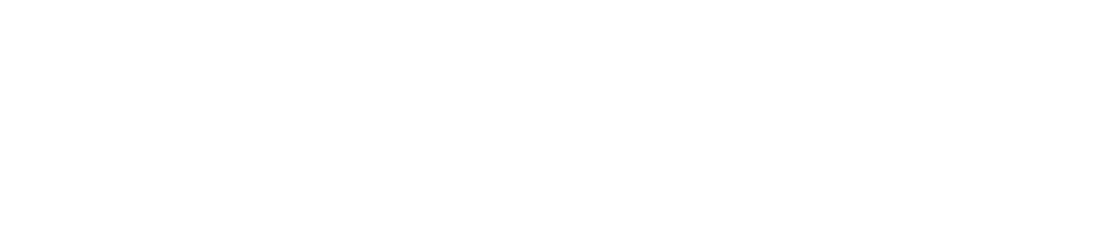 Digitaliza Tu Negocio®